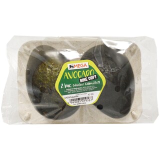 MEGA | Avocado bine copt, 2 bucati