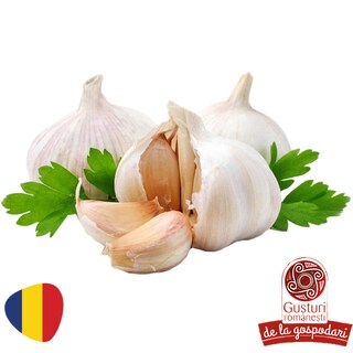 Gusturi romanesti | Usturoi